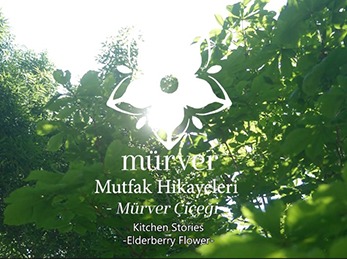 Mürver Karaköy – Kitchen Stories / Elderflower